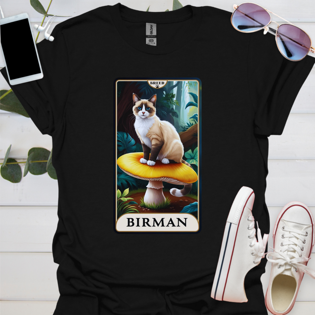 A Birman Cat