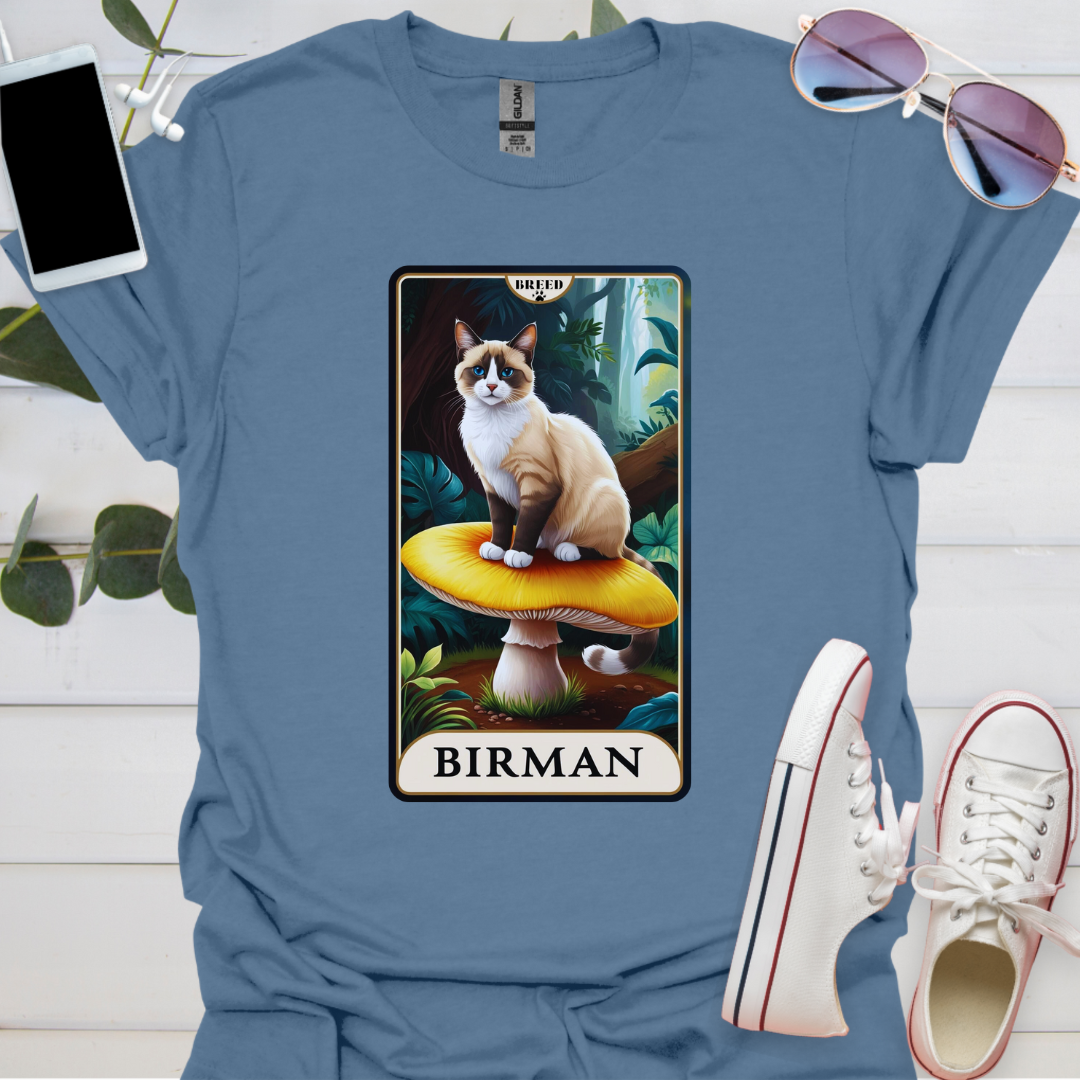A Birman Cat