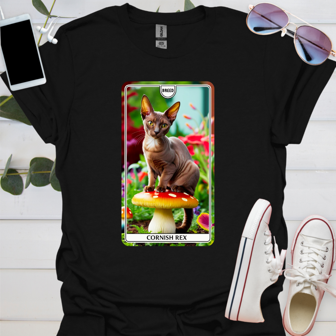 A Cornish Rex Cat