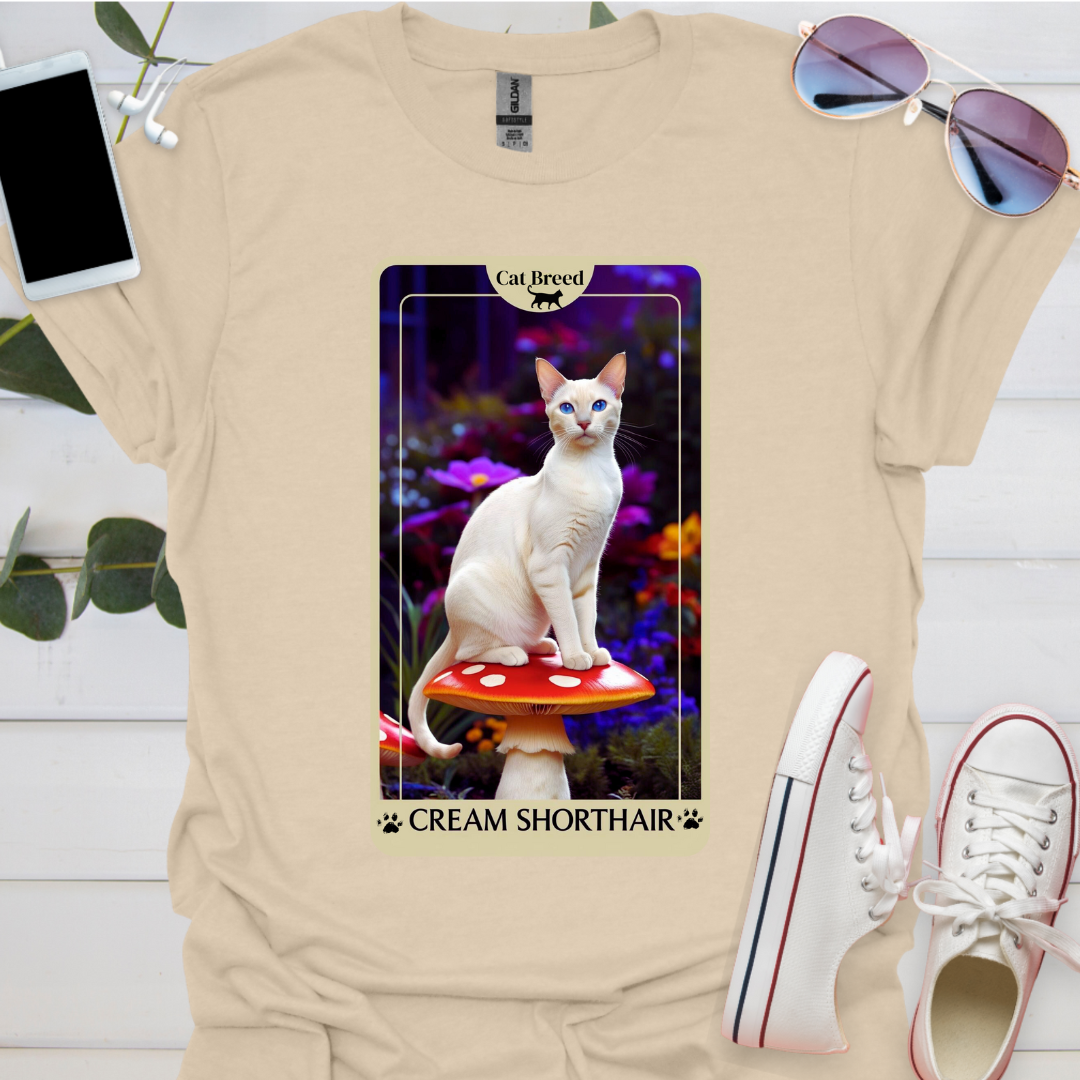 A Cream Shorthair Cat