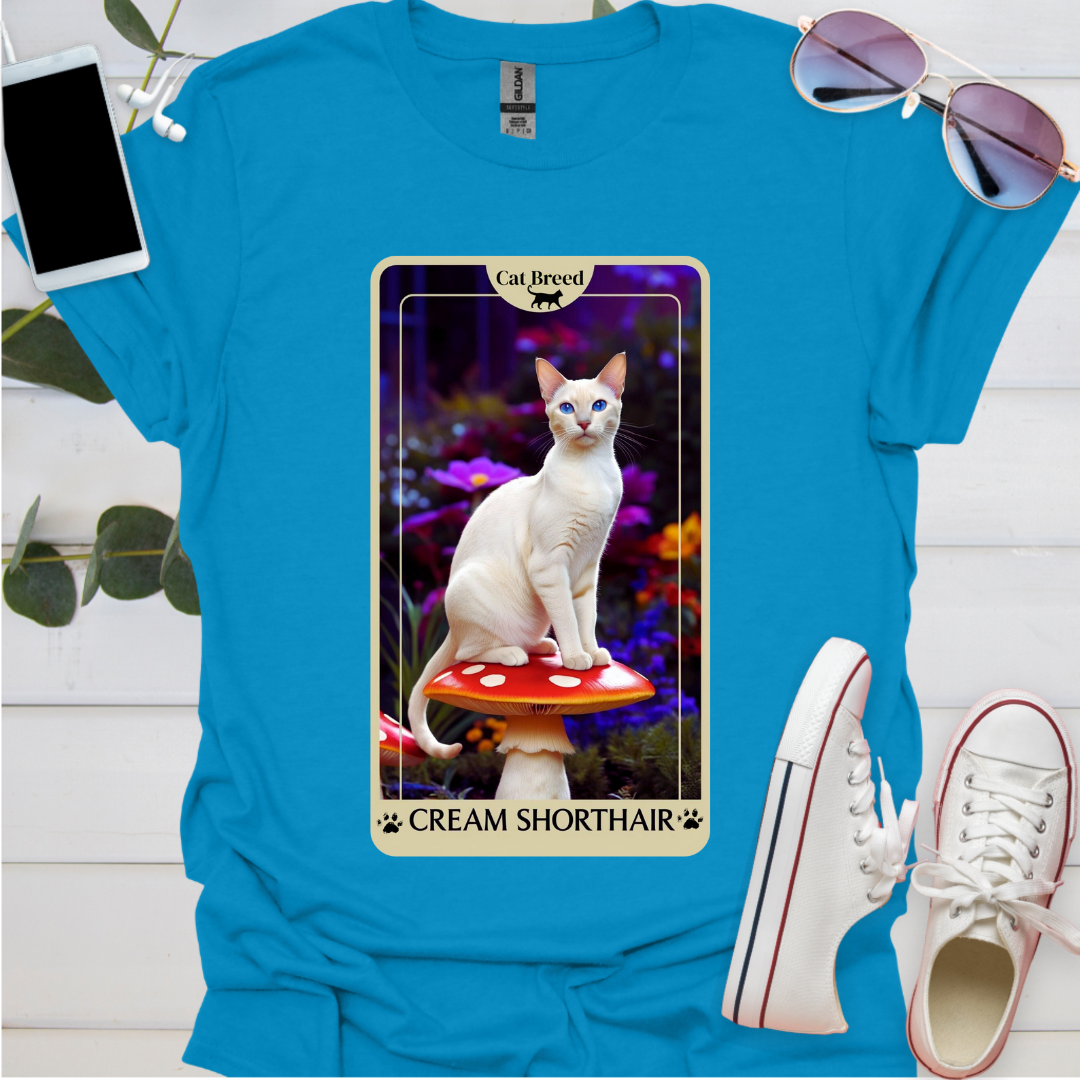 A Cream Shorthair Cat