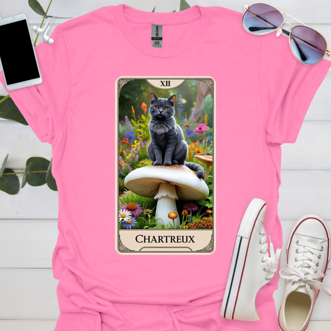 A Chartreux Cat