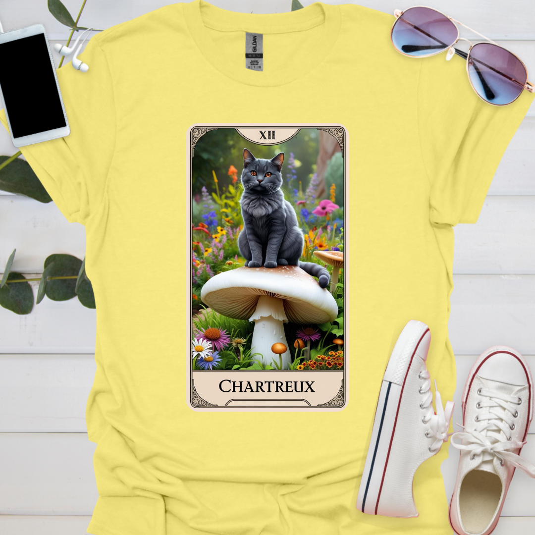 A Chartreux Cat