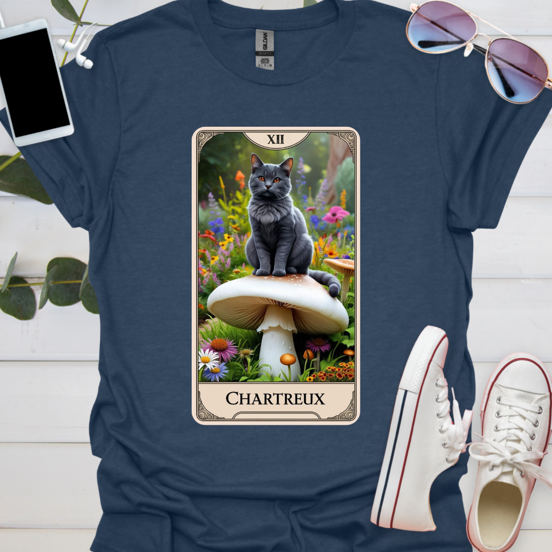 A Chartreux Cat