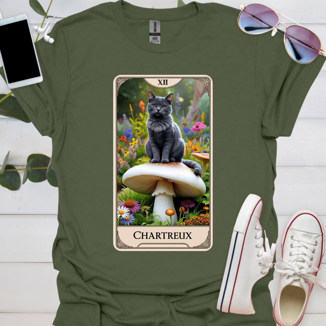 A Chartreux Cat
