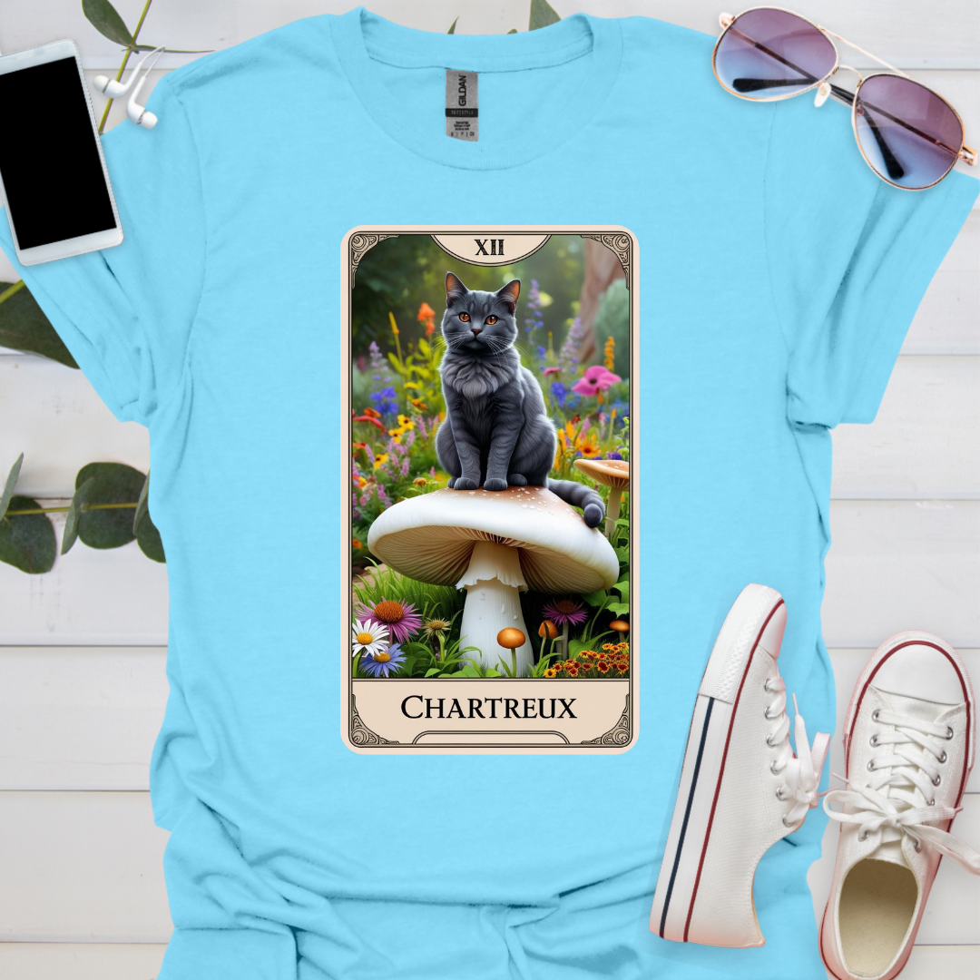 A Chartreux Cat