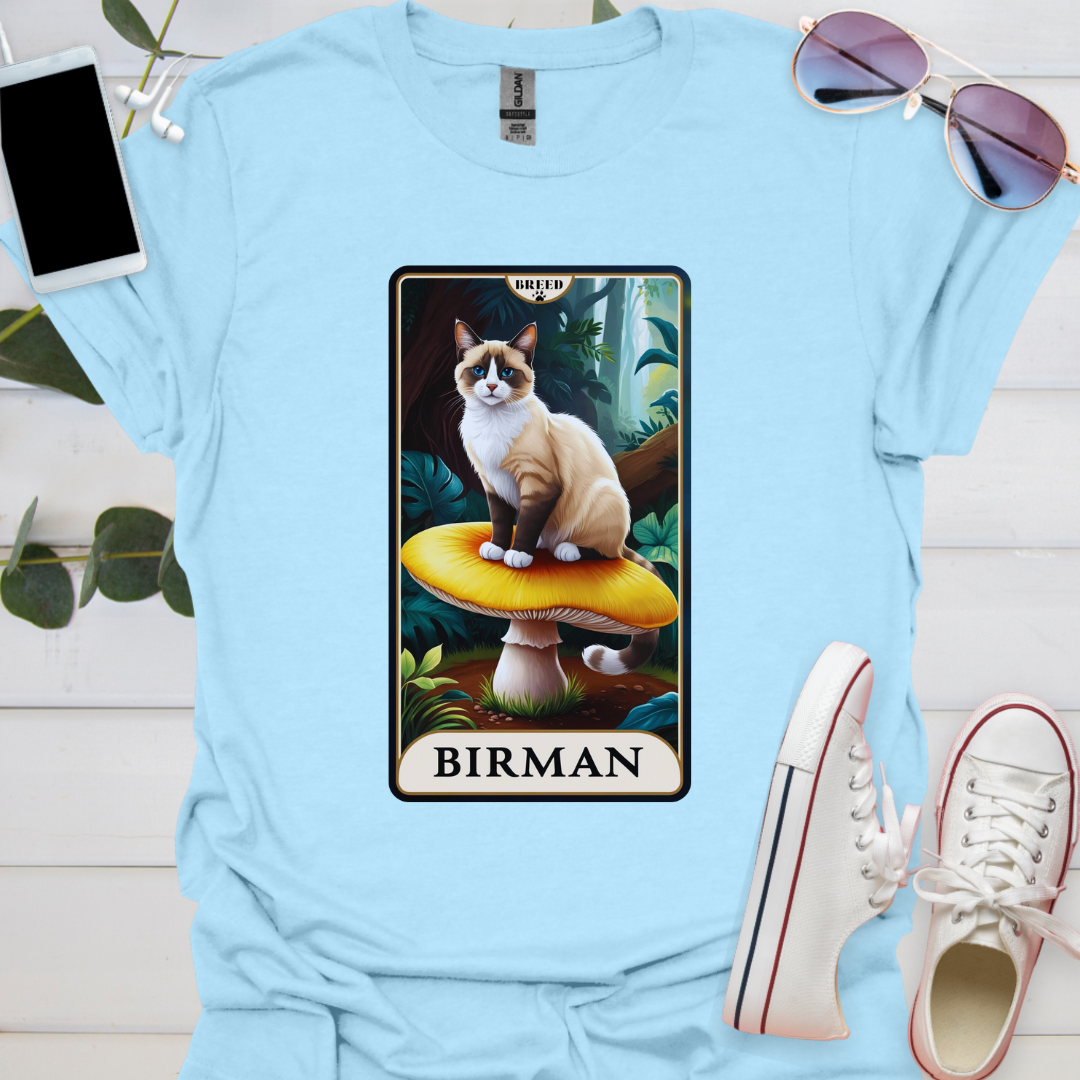 A Birman Cat