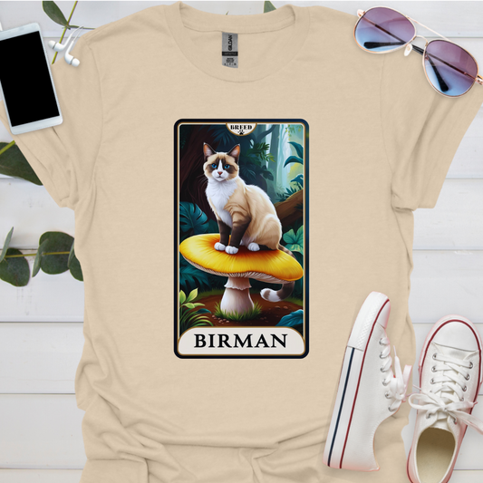 A Birman Cat