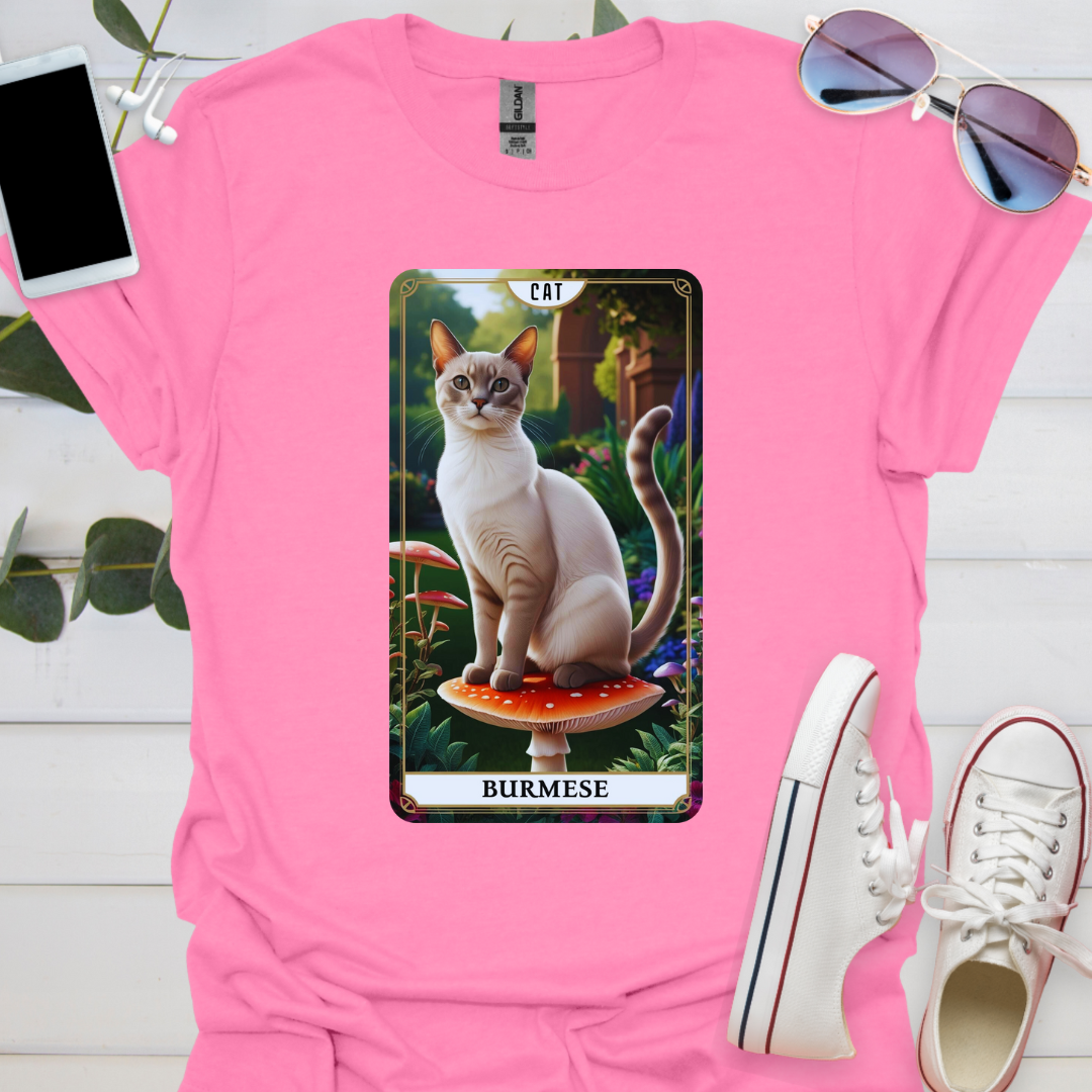 A Burmese Cat