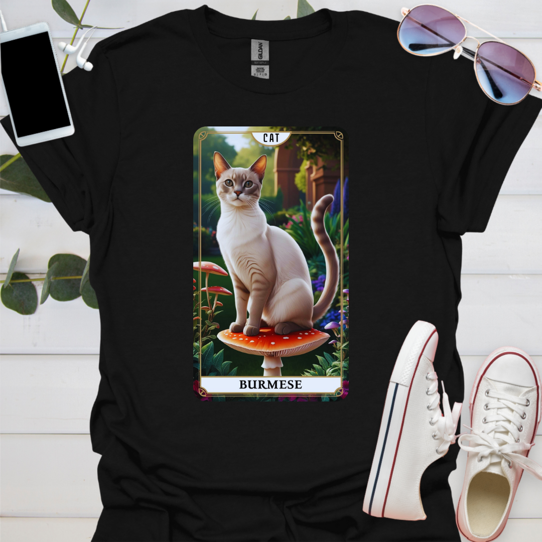 A Burmese Cat
