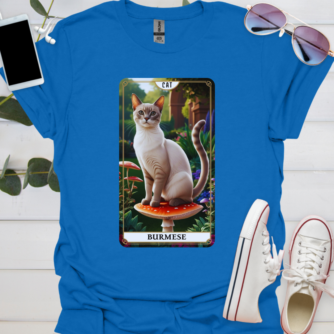 A Burmese Cat