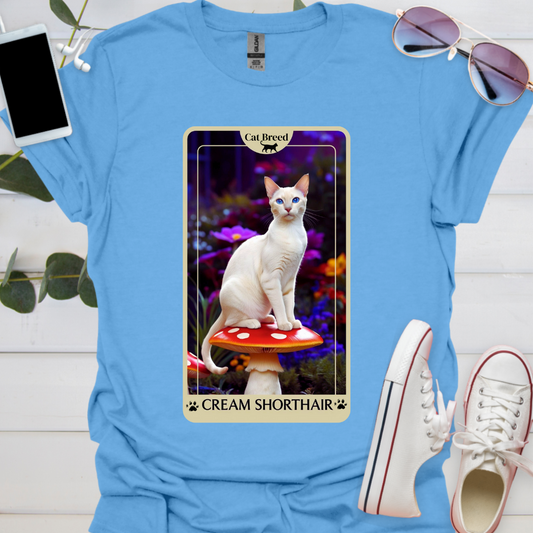 A Cream Shorthair Cat