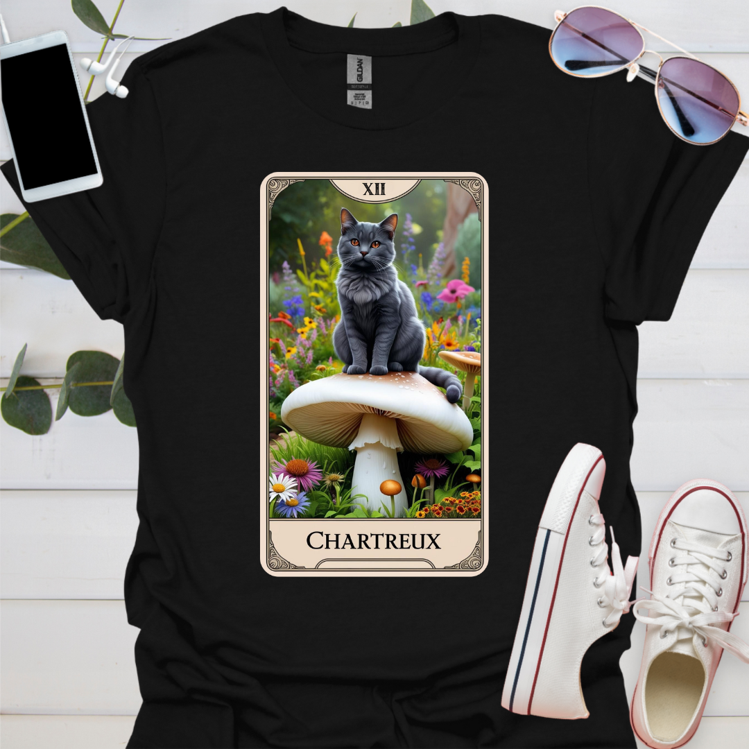 A Chartreux Cat