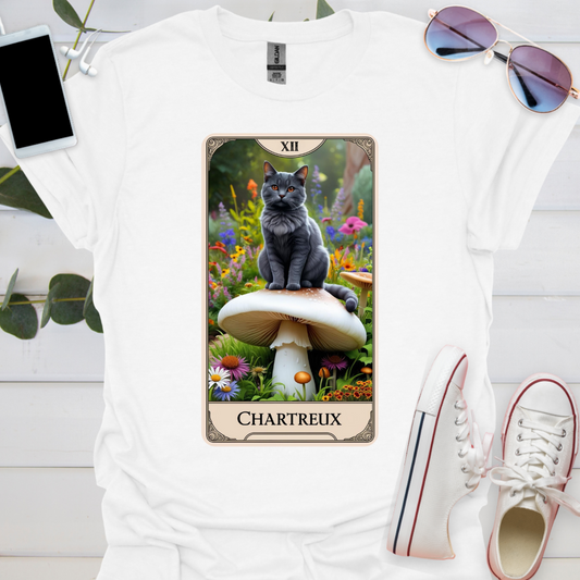 A Chartreux Cat