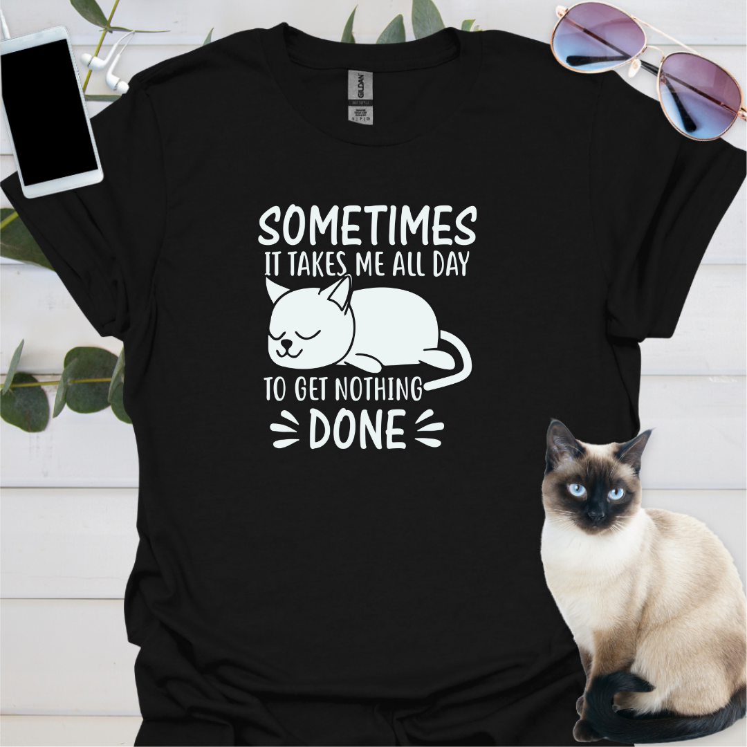 Sometimes it takes me all day to get nothing done.