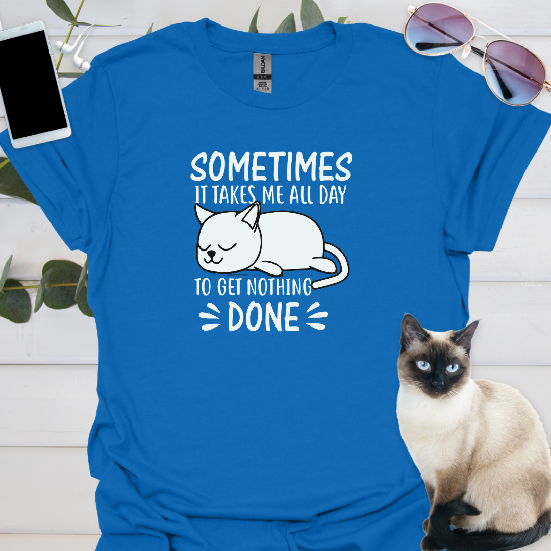 Sometimes it takes me all day to get nothing done.