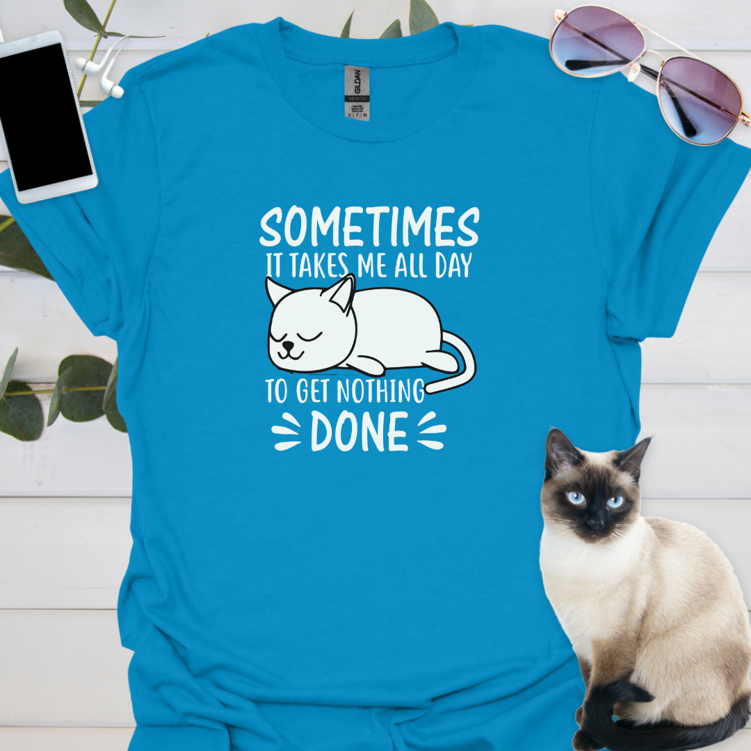 Sometimes it takes me all day to get nothing done.